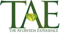 TAE-the-ayurveda-experience
