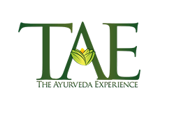 The Ayurveda Experience